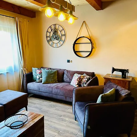 Vitality 假日公园