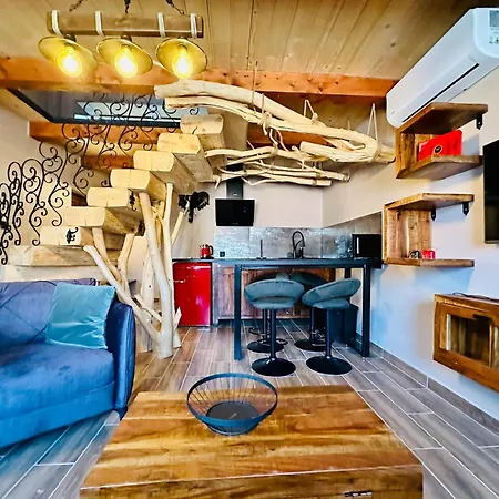 假日公园 Vitality *