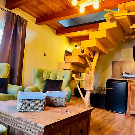 假日公园 Vitality