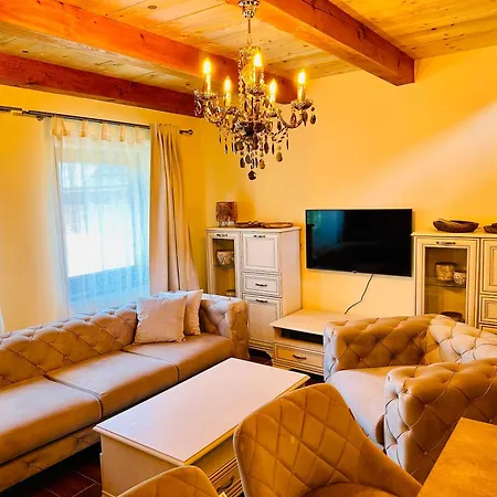 假日公园 Vitality *