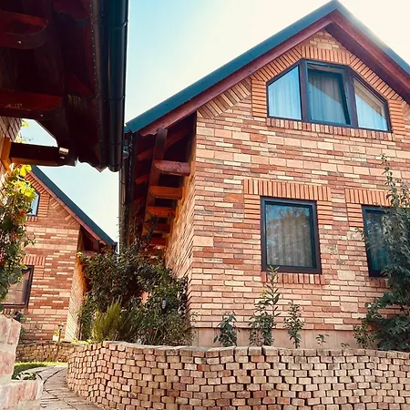 假日公园 Vitality