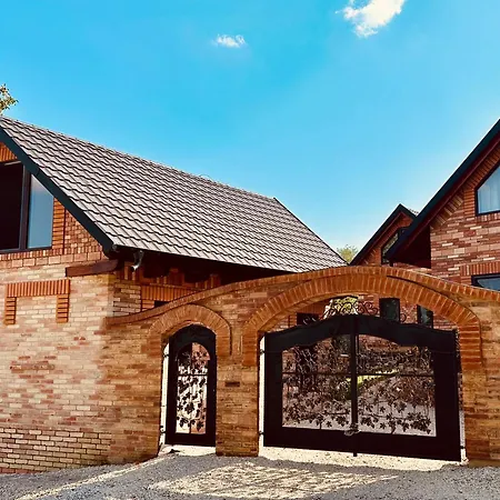 假日公园 Vitality *